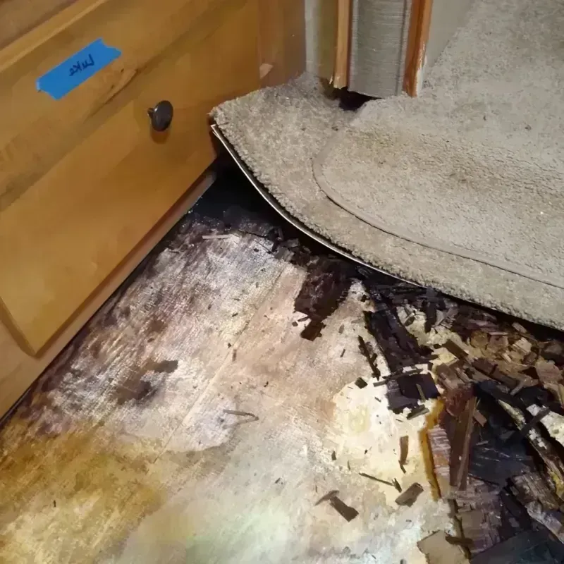 Wood Floor Water Damage in Berkeley, IL